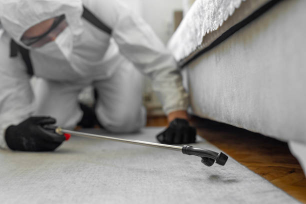 Professional Termite Control technician working in Botkins, OH
