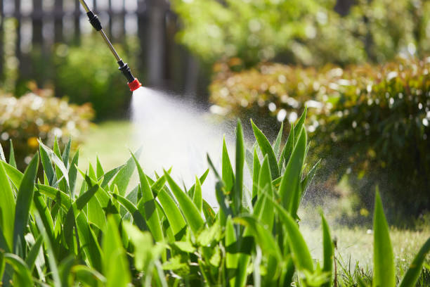 24/7 Emergency Termite Control experts in Botkins, OH