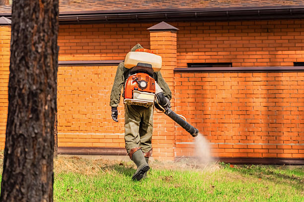 Top rated local Termite Control specialists in Botkins, OH